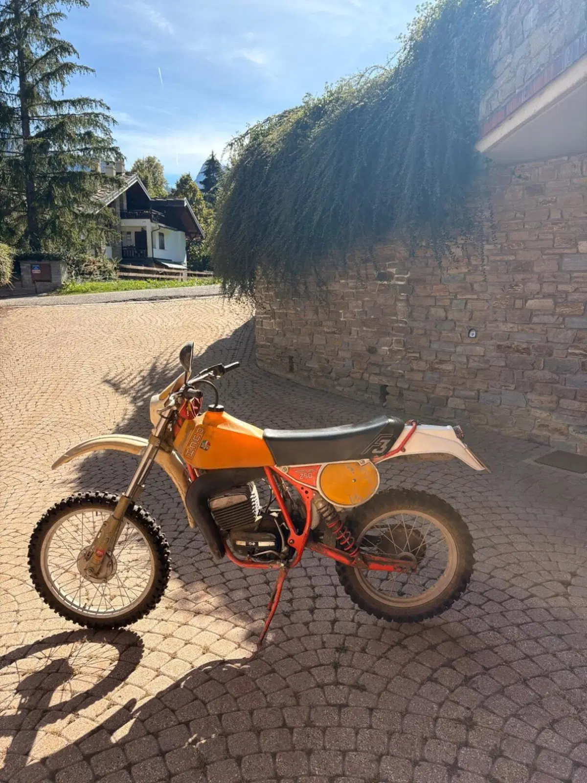 Puch Frigerio 250 F3 (3)