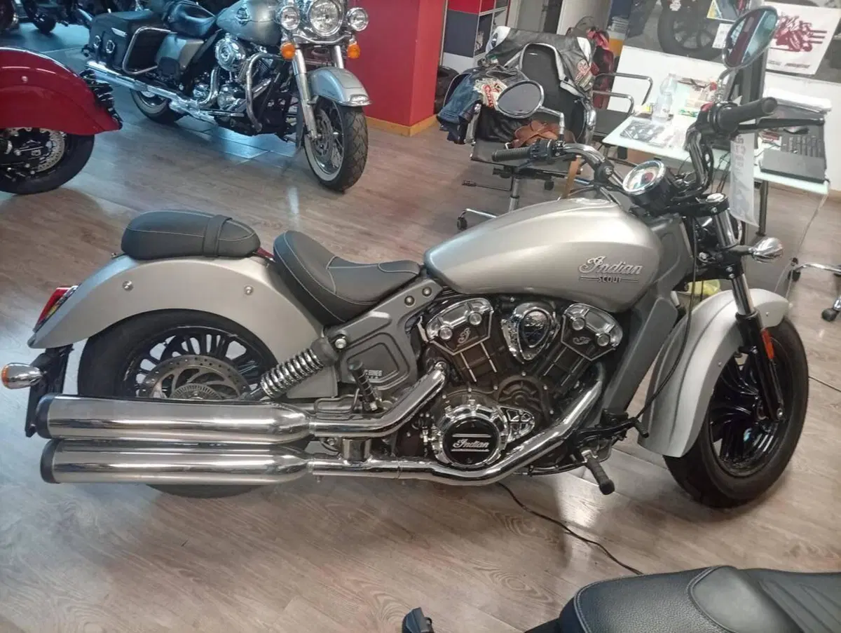 Indian Scout 1133 (2017 - 19) (5)