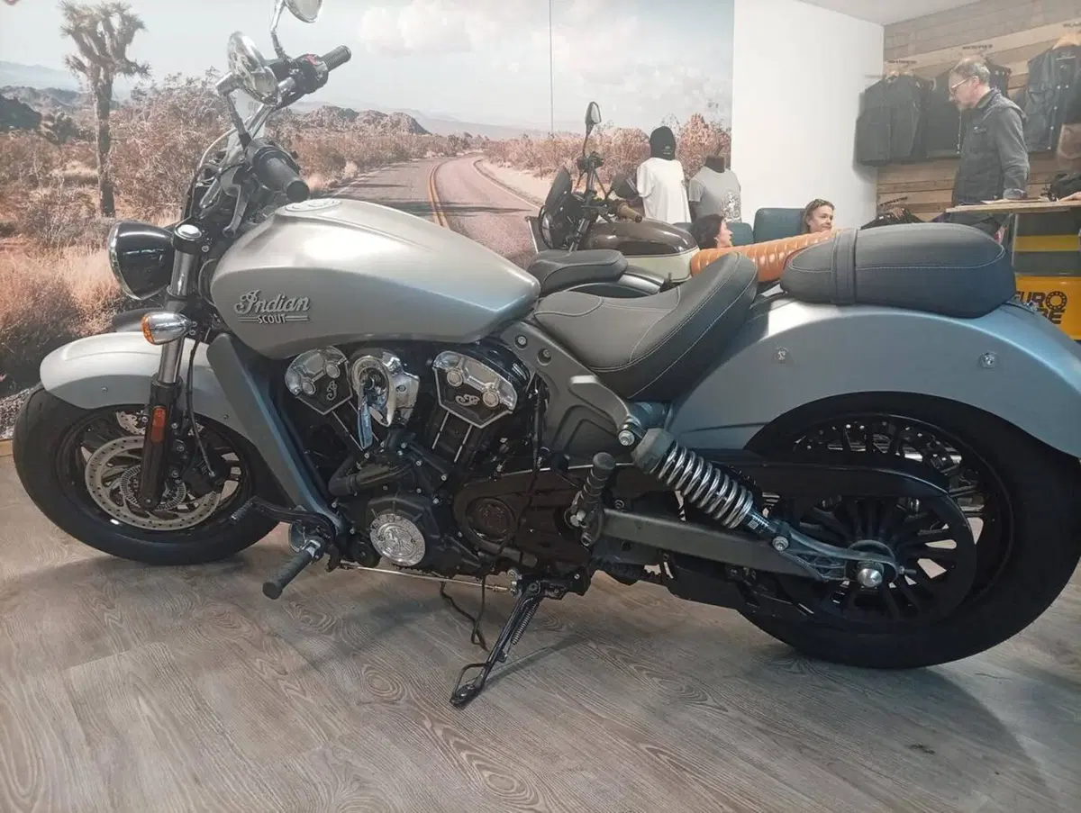 Indian Scout 1133 (2017 - 19) (7)