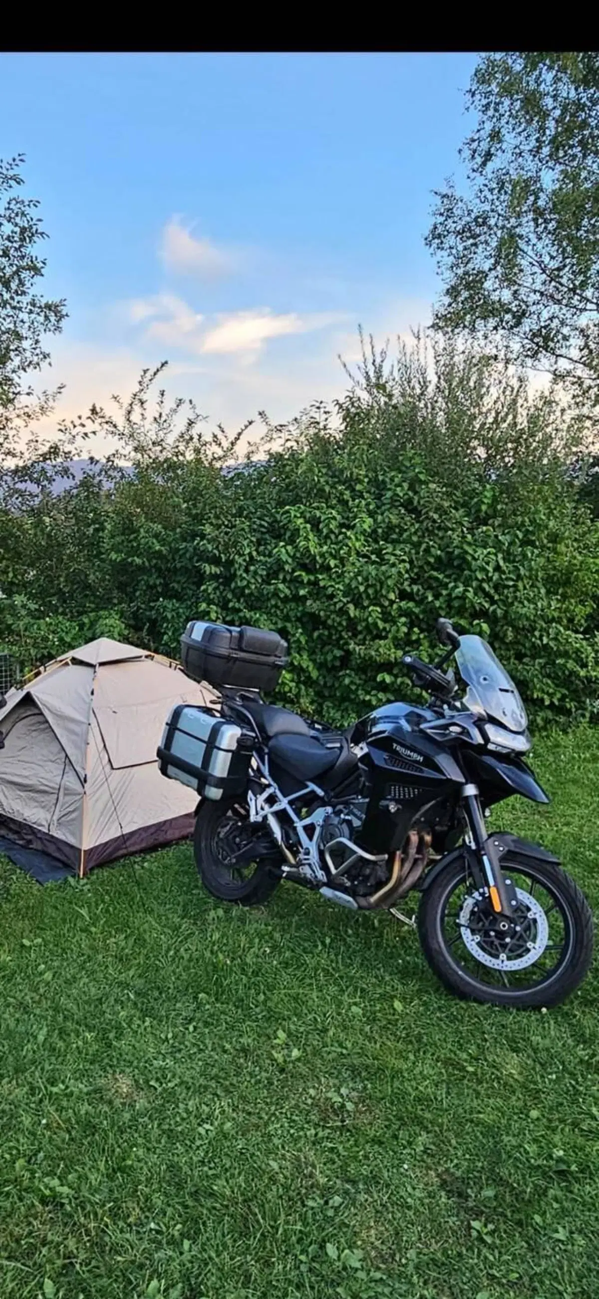 Triumph Tiger 1200 GT Explorer (2022 - 23) (5)