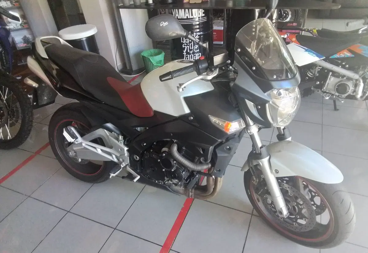 Suzuki GSX R 600 (2006 - 07) (10)