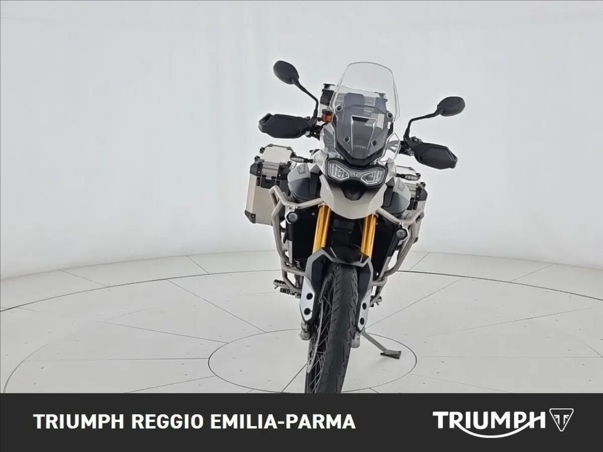 Triumph Tiger 900 Rally Pro (2024 - 26) (5)