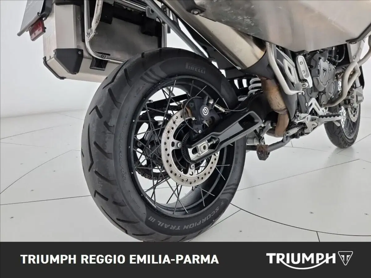 Triumph Tiger 900 Rally Pro (2024 - 26) (13)