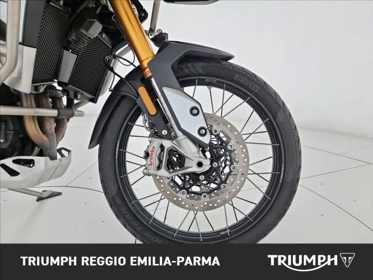 Triumph Tiger 900 Rally Pro (2024 - 26) (17)