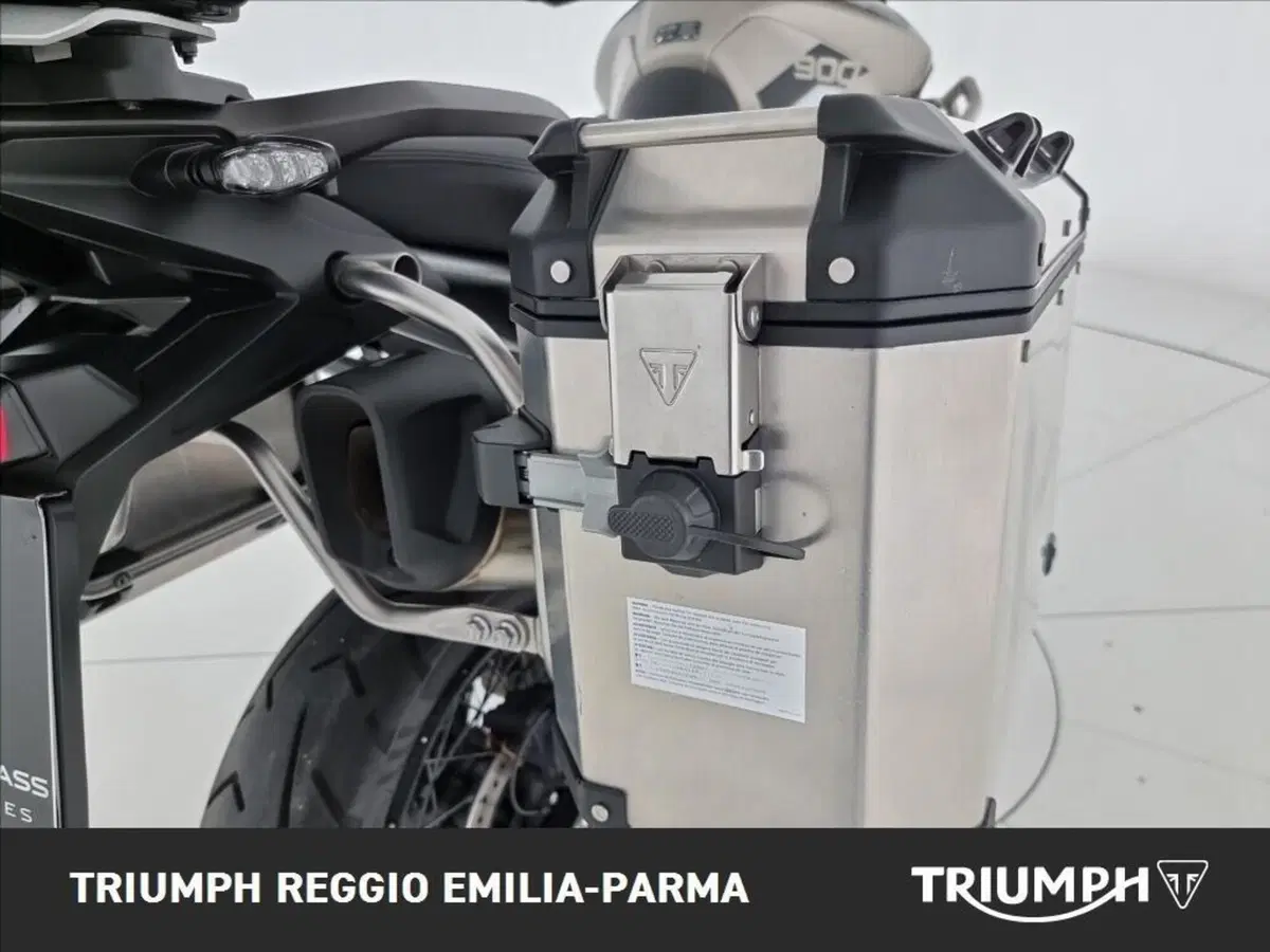 Triumph Tiger 900 Rally Pro (2024 - 26) (14)