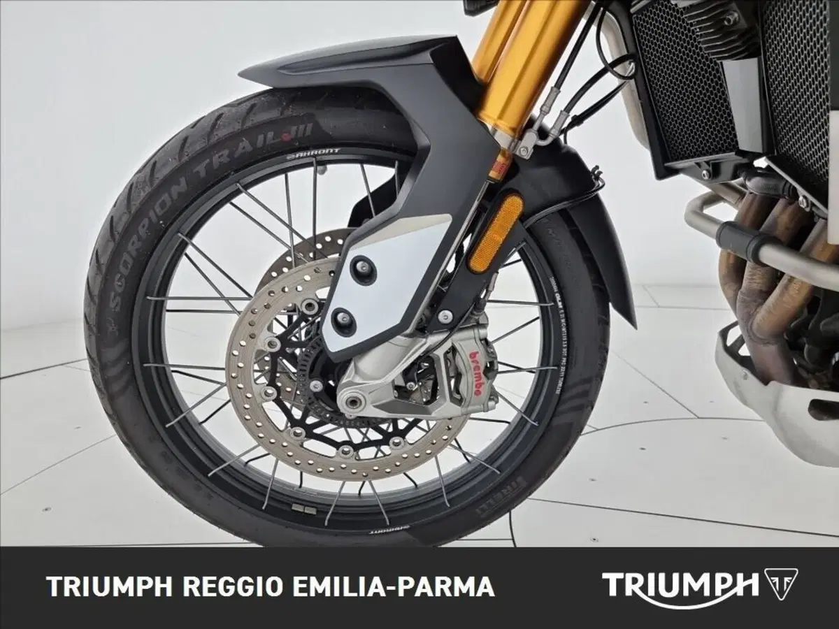 Triumph Tiger 900 Rally Pro (2024 - 26) (18)