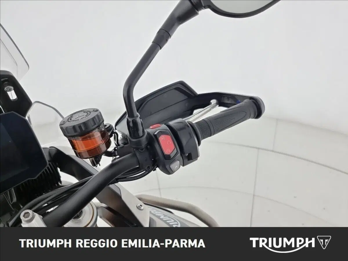 Triumph Tiger 900 Rally Pro (2024 - 26) (10)