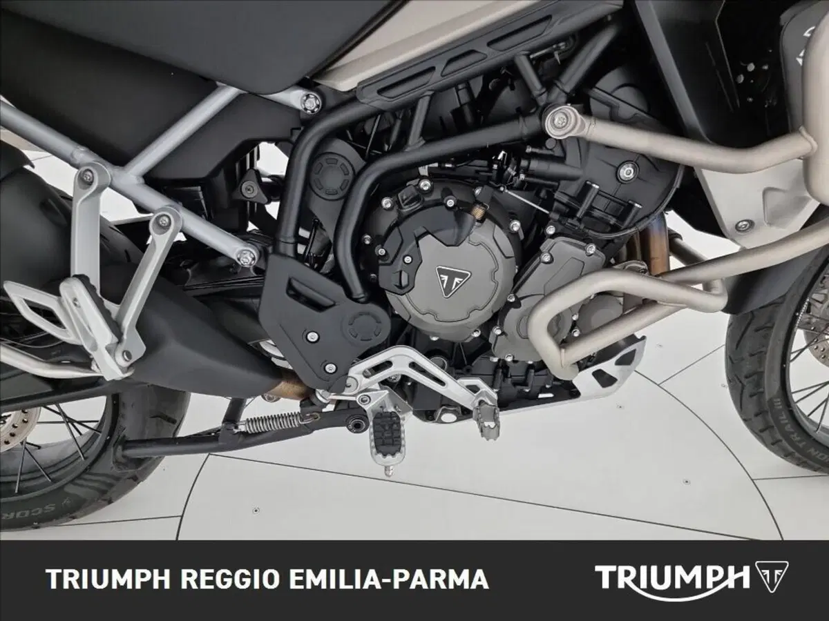 Triumph Tiger 900 Rally Pro (2024 - 26) (15)