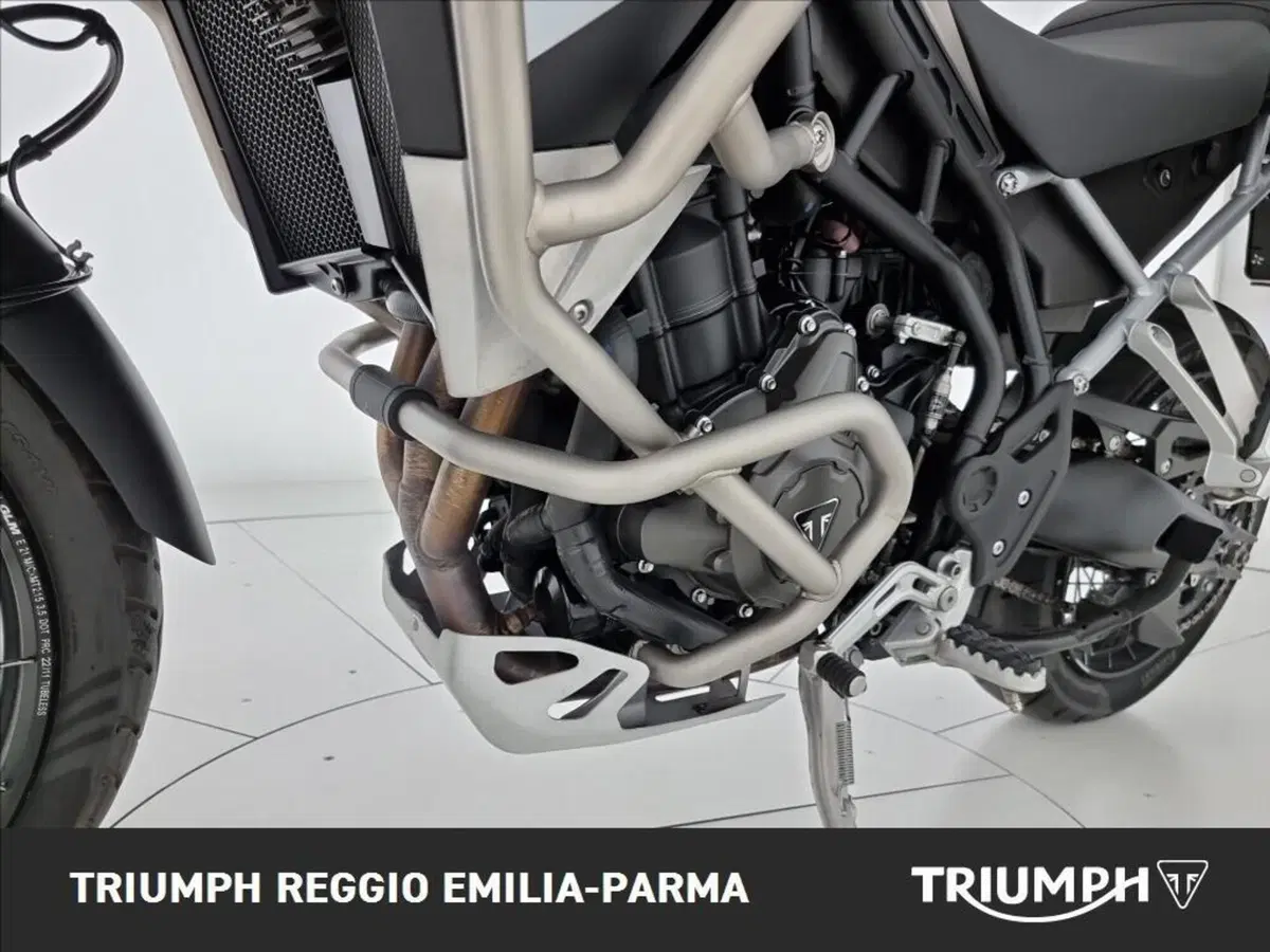 Triumph Tiger 900 Rally Pro (2024 - 26) (19)