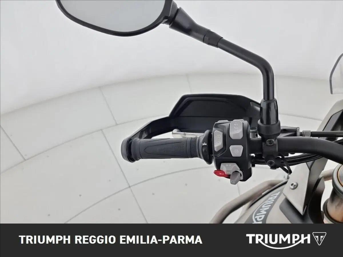 Triumph Tiger 900 Rally Pro (2024 - 26) (11)