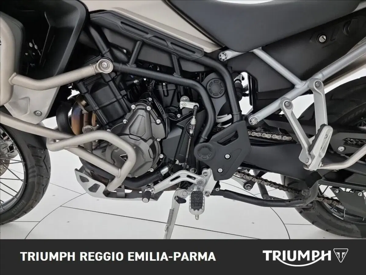 Triumph Tiger 900 Rally Pro (2024 - 26) (20)