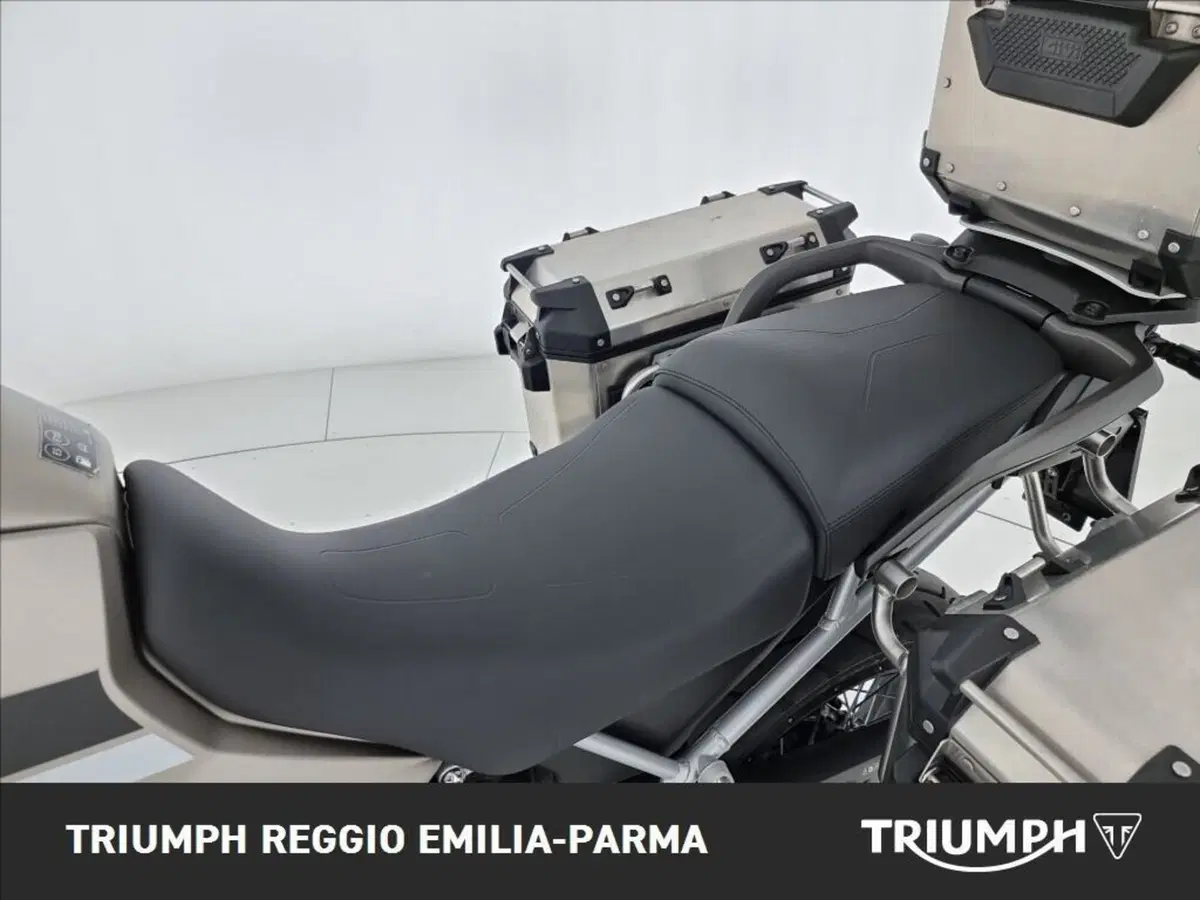 Triumph Tiger 900 Rally Pro (2024 - 26) (12)
