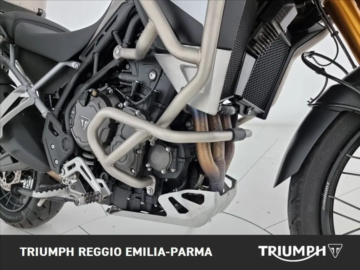Triumph Tiger 900 Rally Pro (2024 - 26) (16)