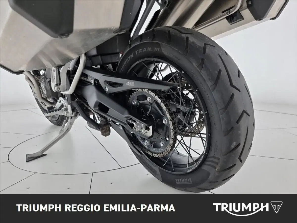 Triumph Tiger 900 Rally Pro (2024 - 26) (21)