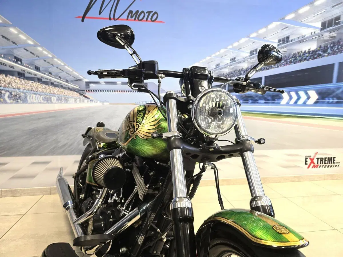 Harley-Davidson 1584 Blackline (2011 - 13) - FXS (4)