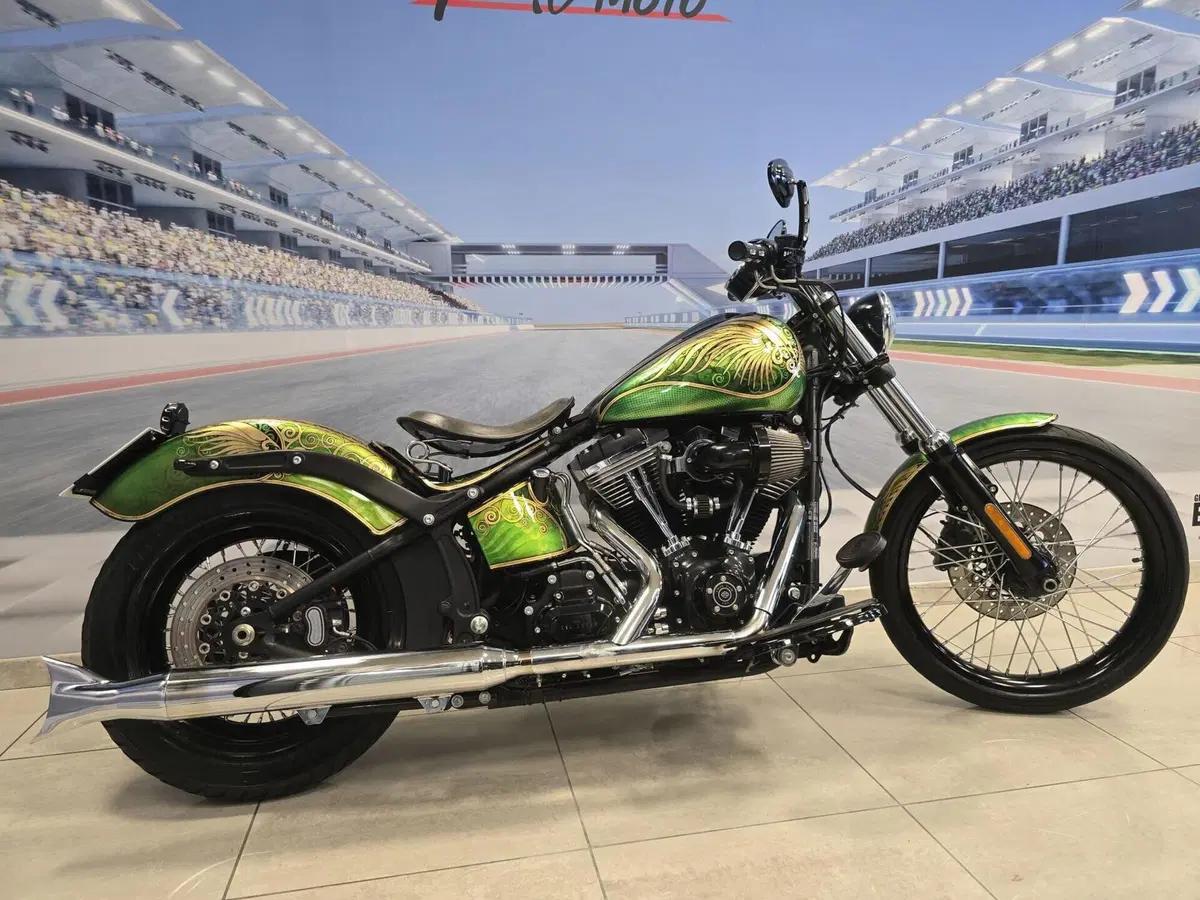 Harley-Davidson 1584 Blackline (2011 - 13) - FXS (11)
