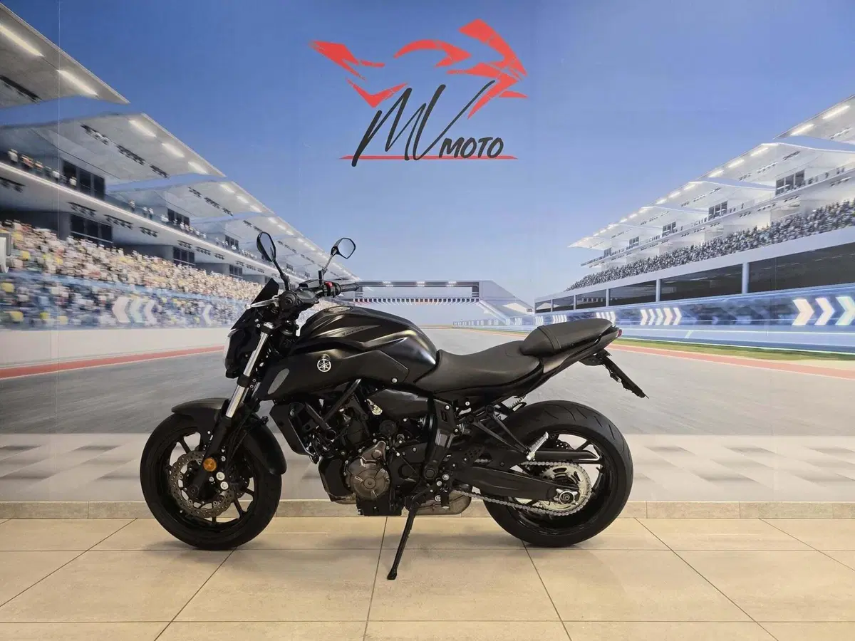 Yamaha MT-07 (2018 - 20) (6)