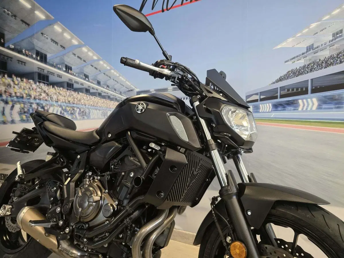 Yamaha MT-07 (2018 - 20) (18)