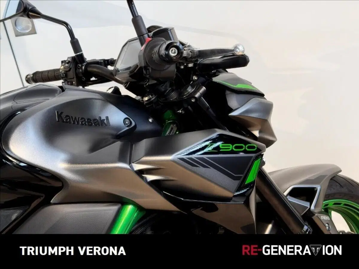 Kawasaki Z 900 Performance (2021 - 24) (10)