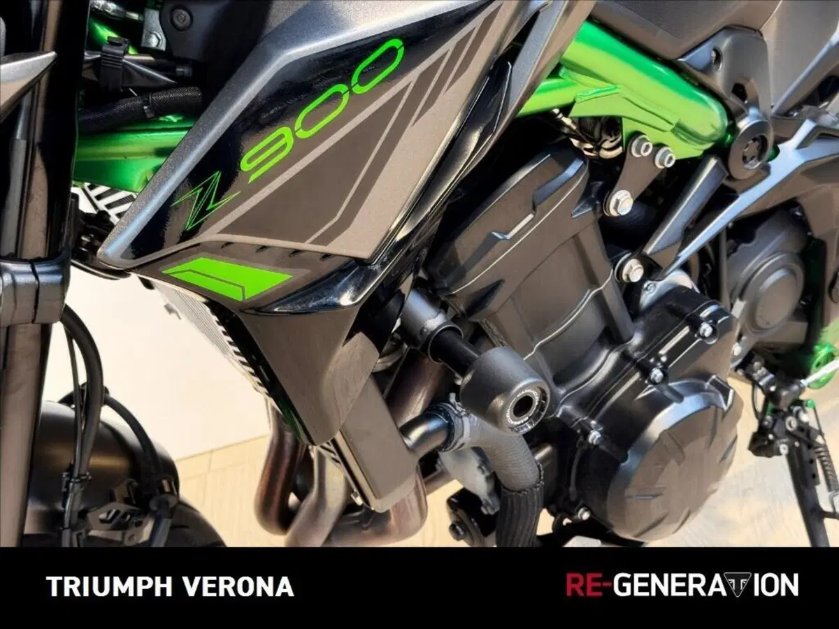 Kawasaki Z 900 Performance (2021 - 24) (13)