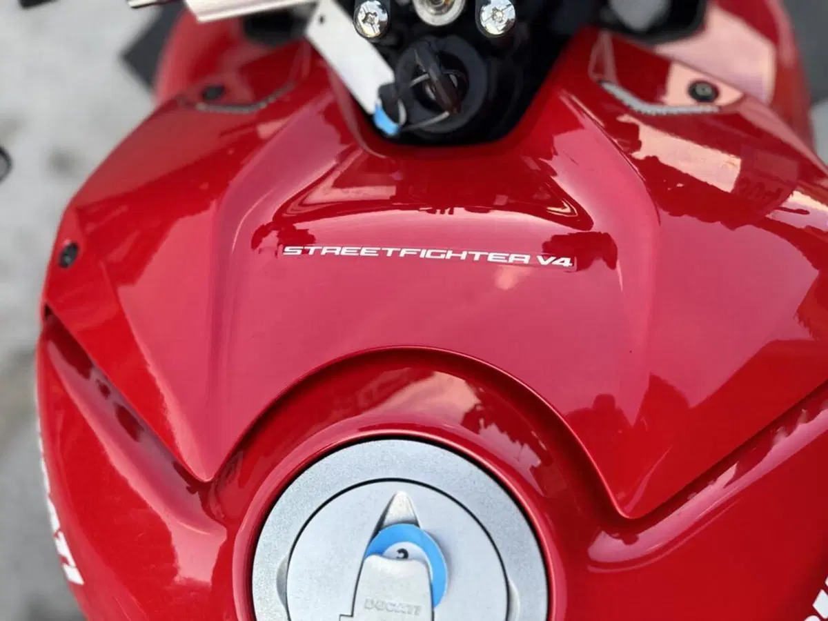 Ducati Streetfighter V4 1100 (2021 - 22) (10)