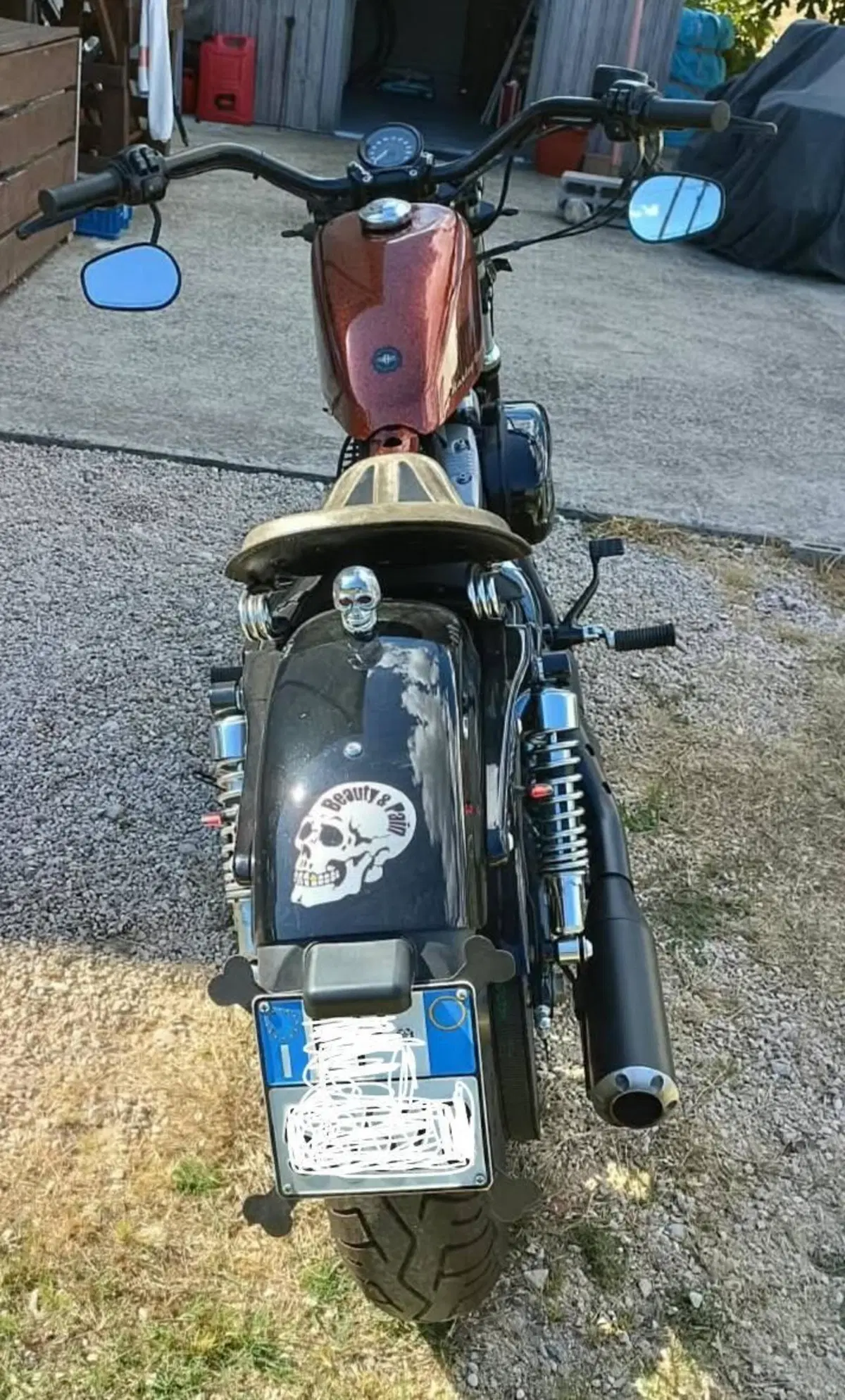 Harley-Davidson 1200 Forty-Eight (2010 - 15) (2)
