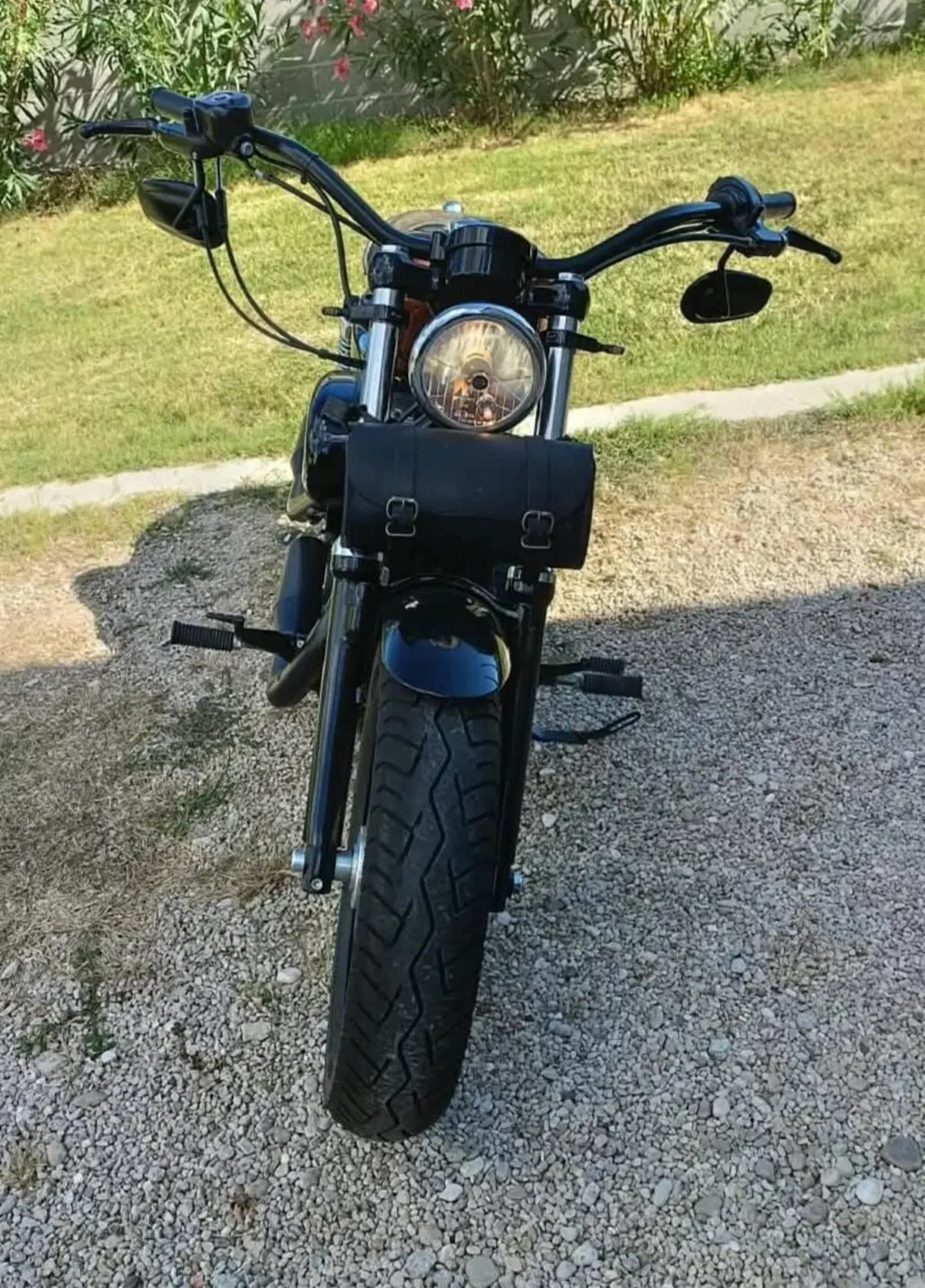 Harley-Davidson 1200 Forty-Eight (2010 - 15) (3)