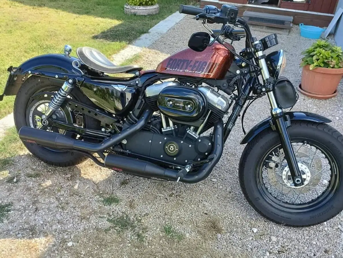 Harley-Davidson 1200 Forty-Eight (2010 - 15) (4)