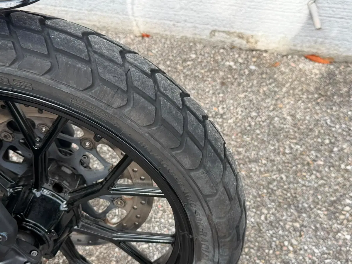 Ducati Scrambler 800 Icon (2023 - 24) (4)