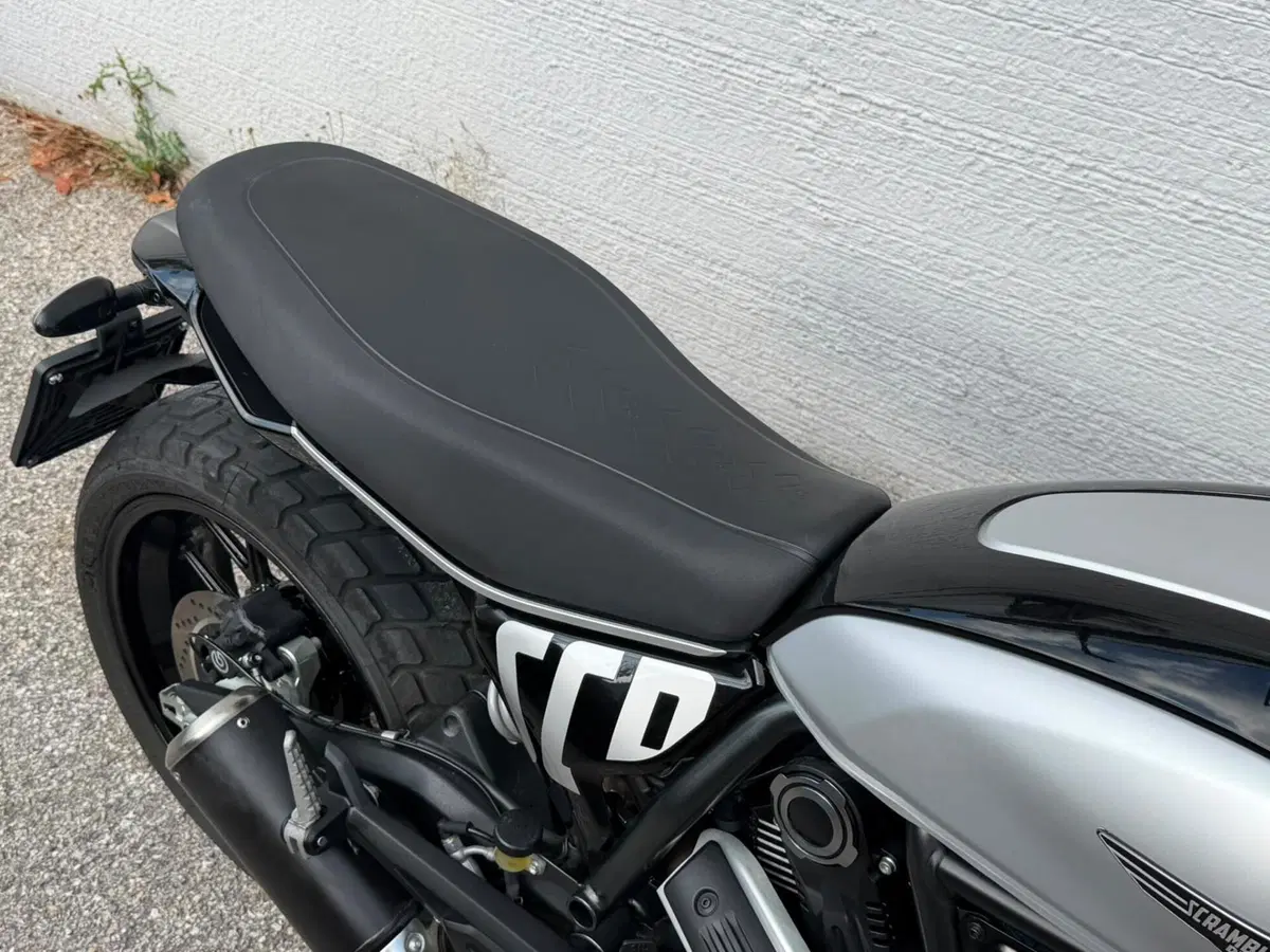 Ducati Scrambler 800 Icon (2023 - 24) (6)