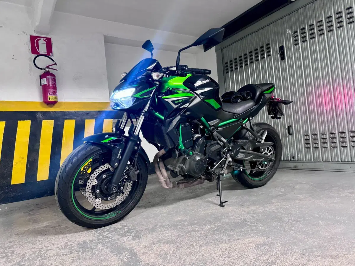 Kawasaki Z 650 (2021 - 24) (2)