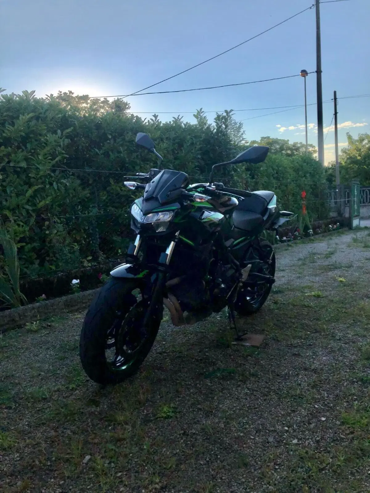 Kawasaki Z 650 (2021 - 24) (3)