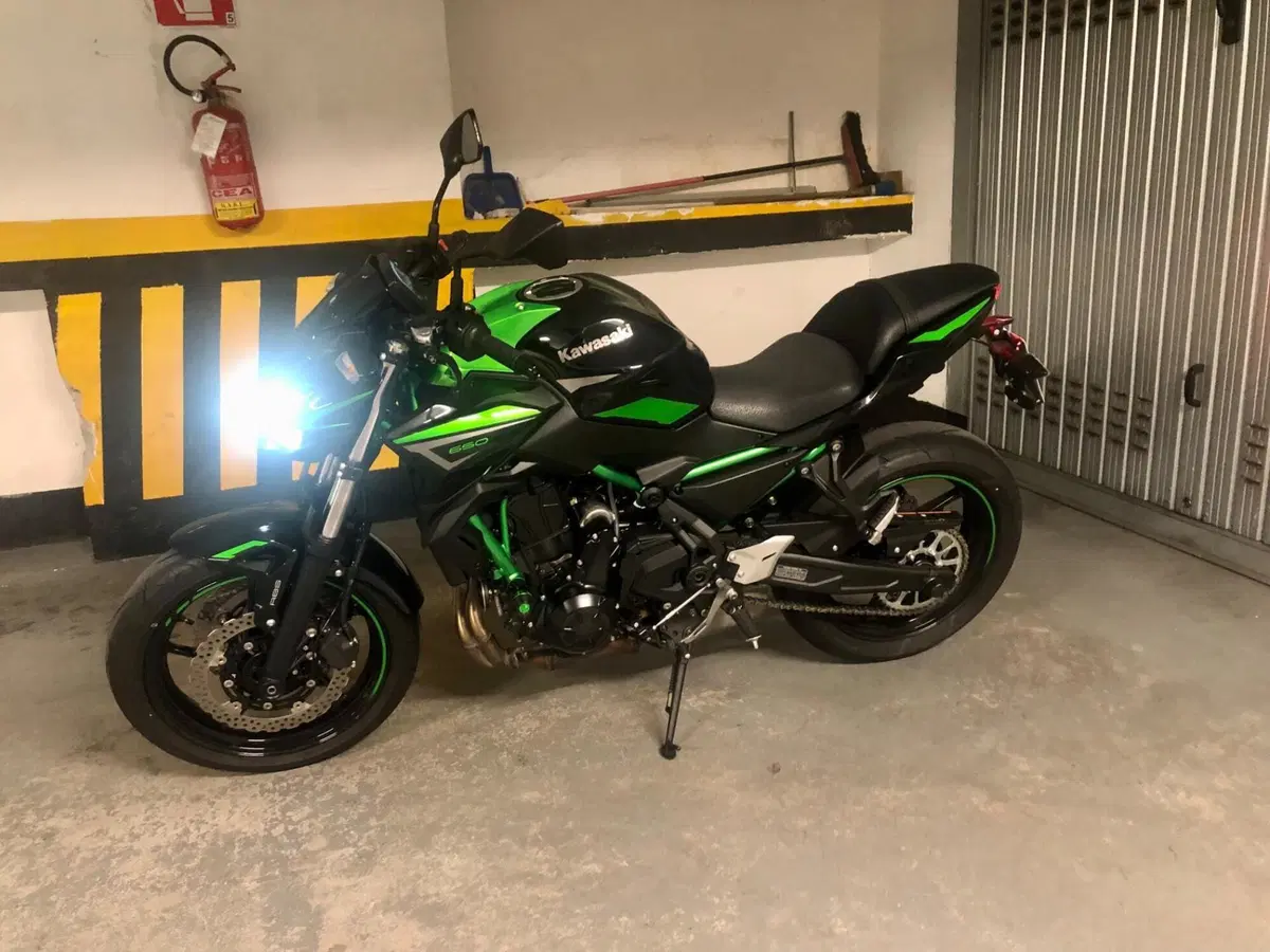 Kawasaki Z 650 (2021 - 24) (4)