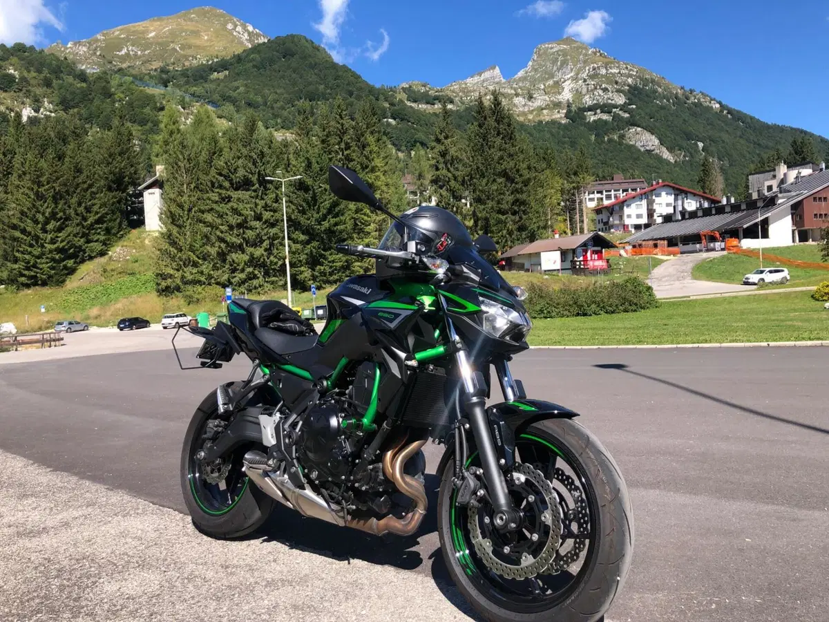 Kawasaki Z 650 (2021 - 24) (7)