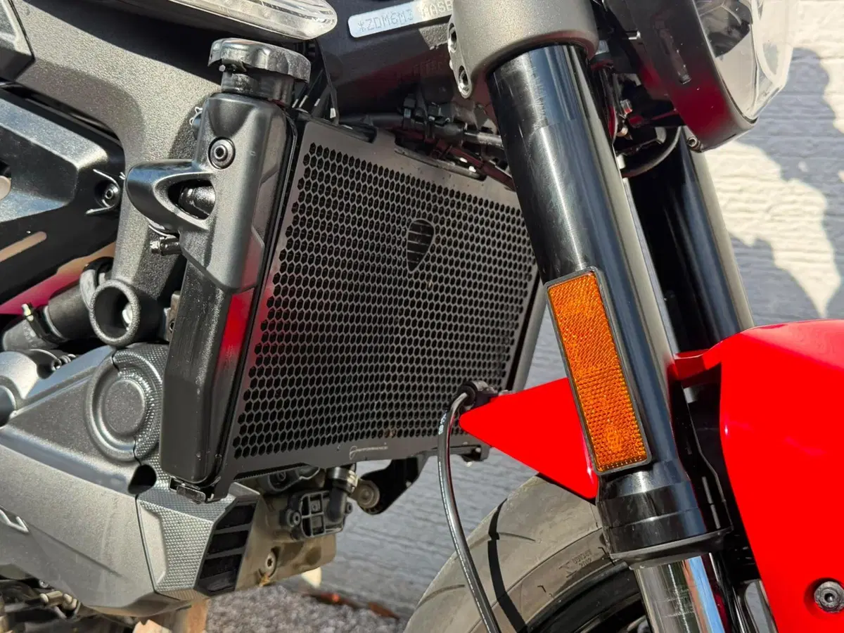 Ducati Monster 937 + (2021 - 25) (7)