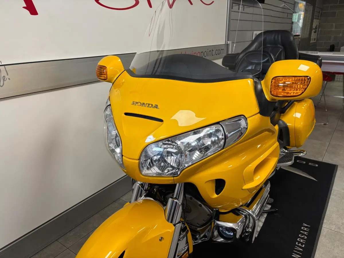 Honda GL 1800 Gold Wing (2006) (6)