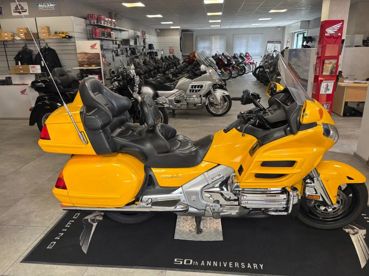 Honda GL 1800 Gold Wing (2006) (9)