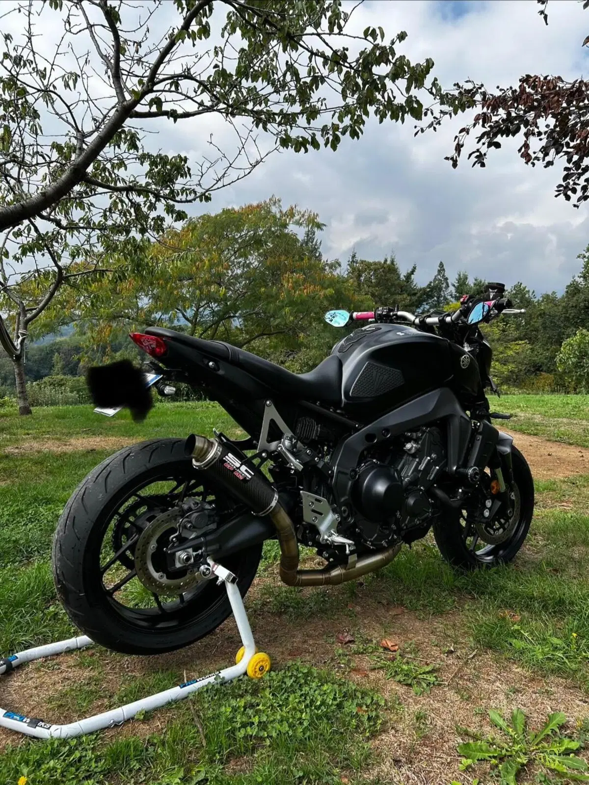 Yamaha MT-09 (2021 - 23) (3)