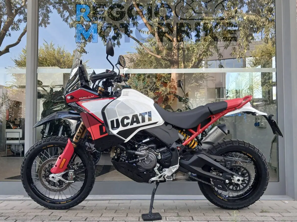 Ducati DesertX Rally (2024 - 25) (4)