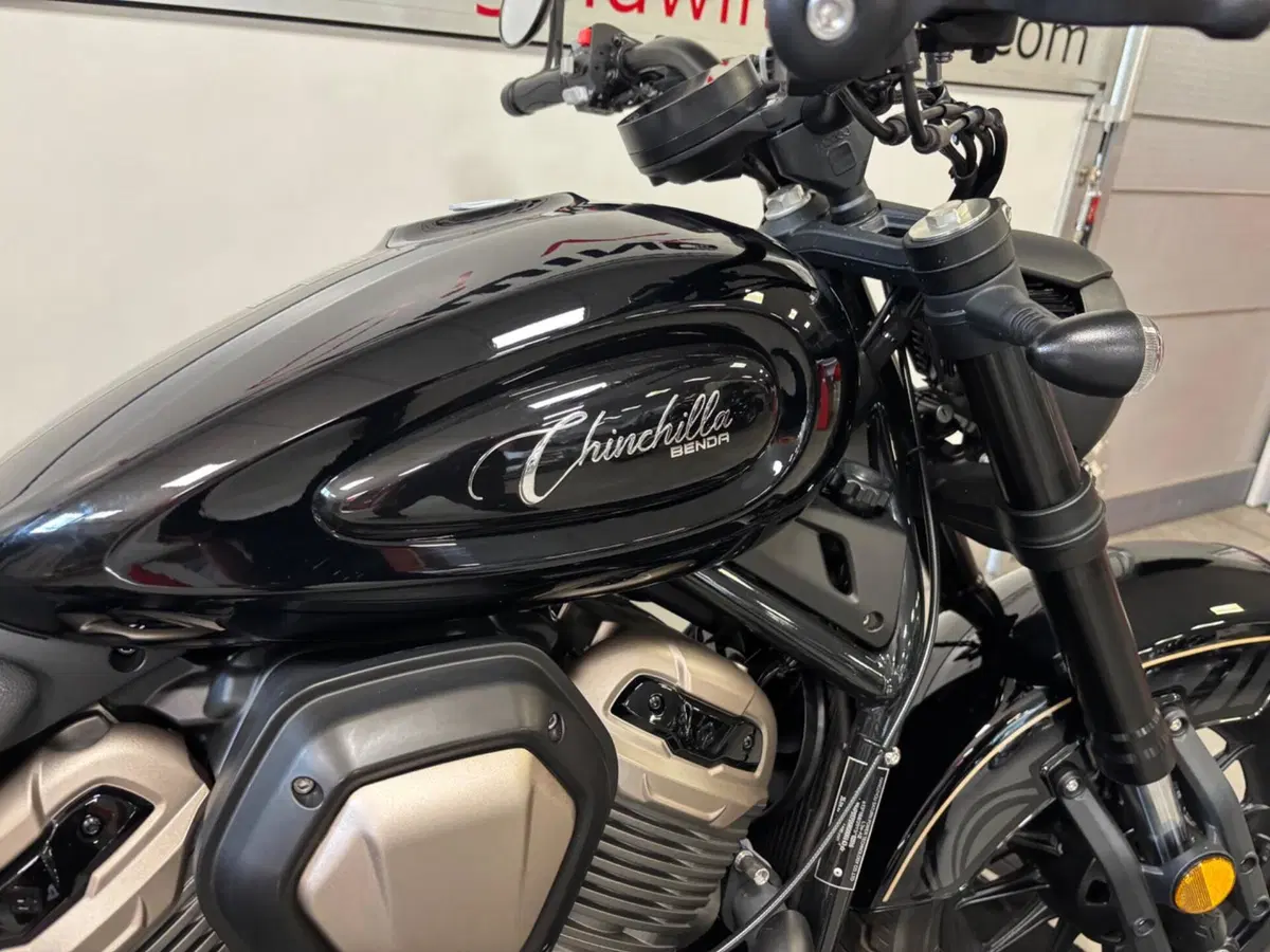 Benda Motorcycles Chinchilla 500 V2 (2025 - 26) (2)