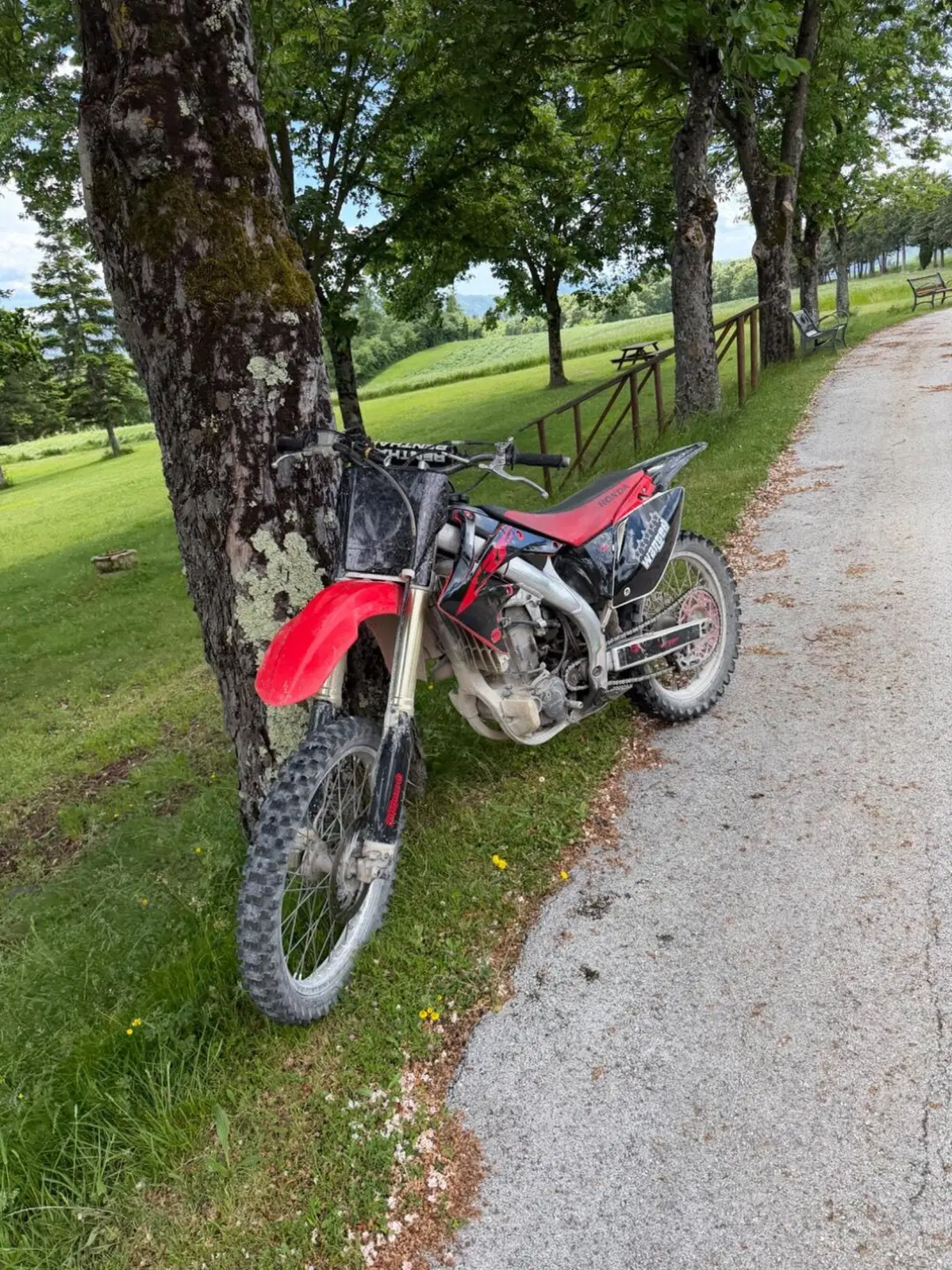 Honda CRF 450R (2006) (4)