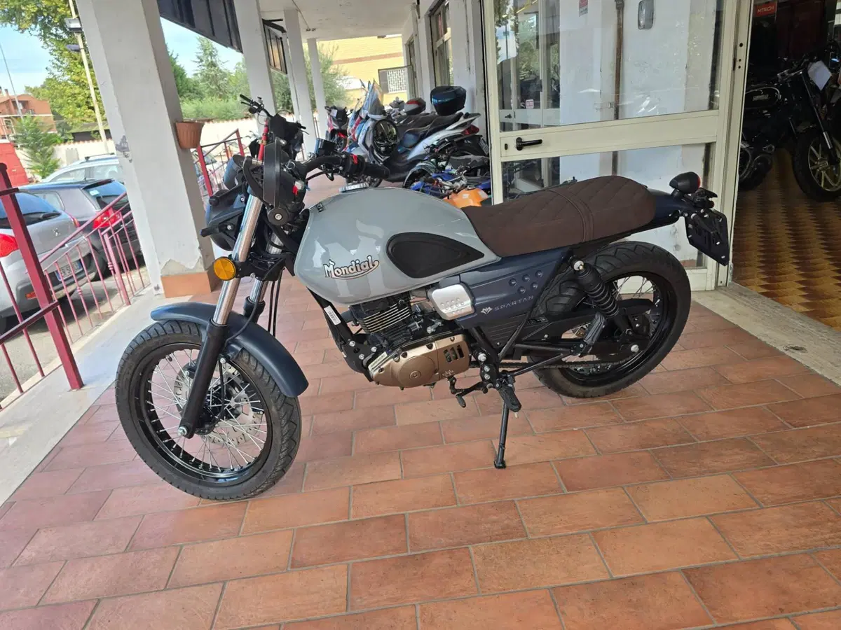 FB Mondial Spartan 125 (2023 - 24) (6)