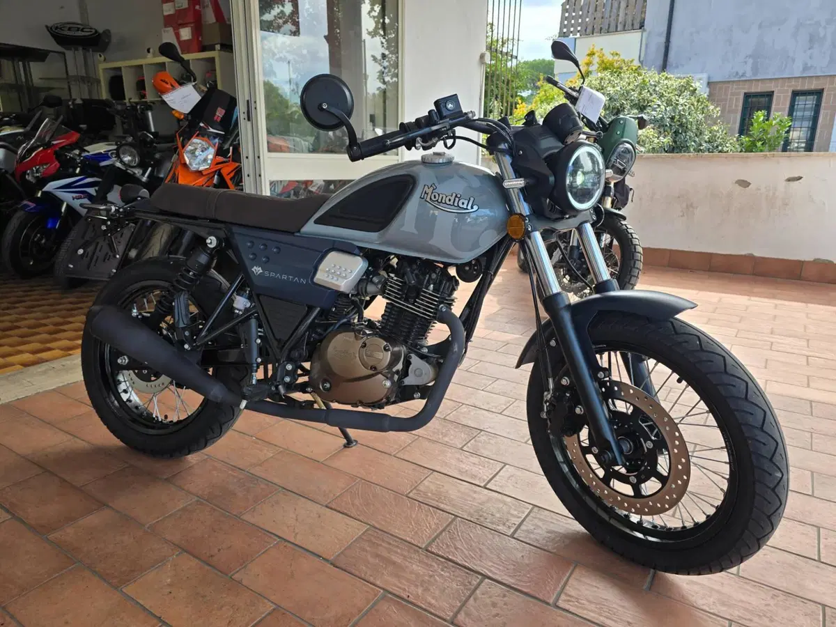 FB Mondial Spartan 125 (2023 - 24) (3)