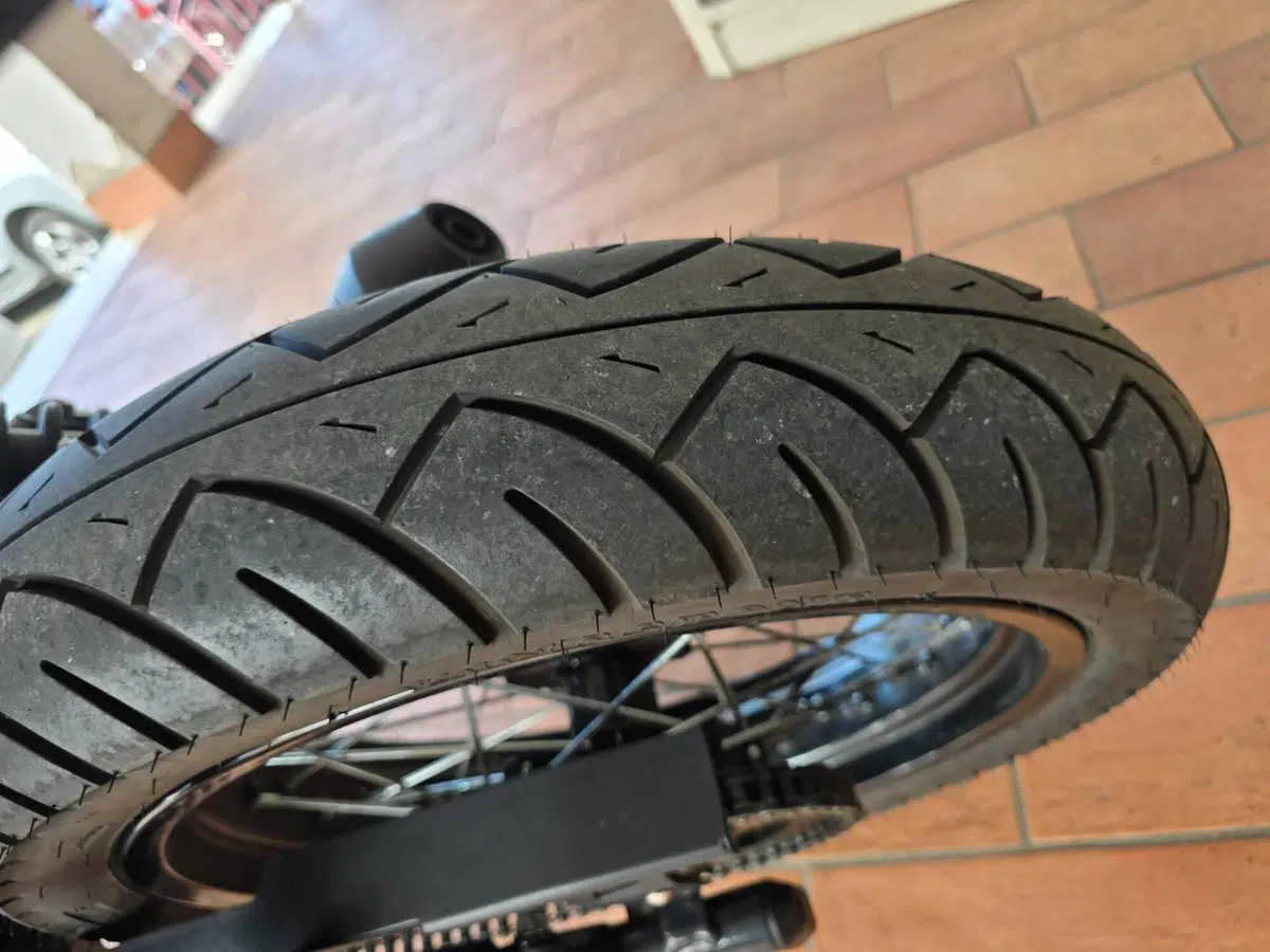 FB Mondial Spartan 125 (2023 - 24) (8)