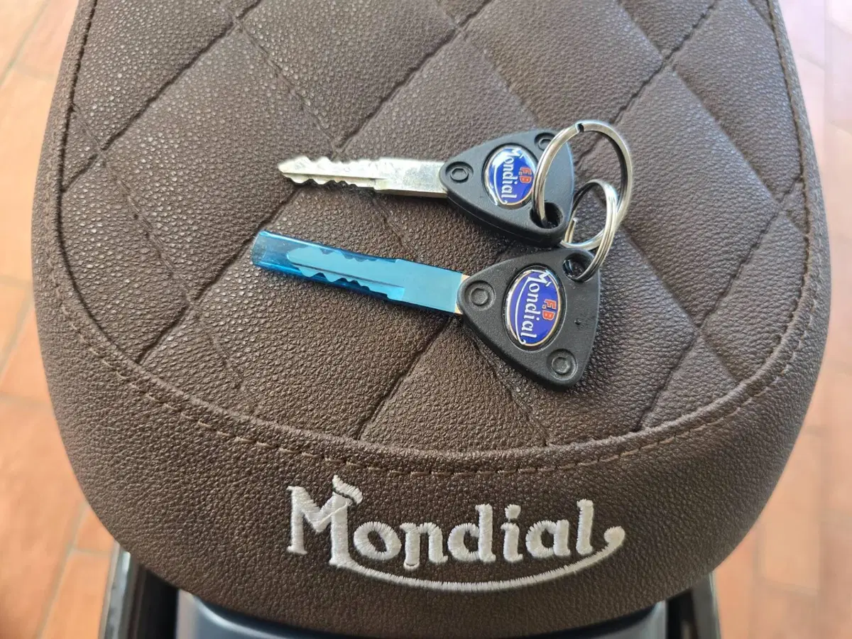FB Mondial Spartan 125 (2023 - 24) (9)