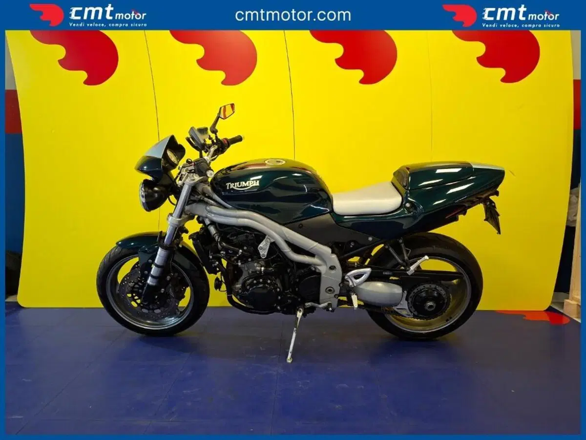 Triumph Speed Triple 955 (2002 - 04) (3)