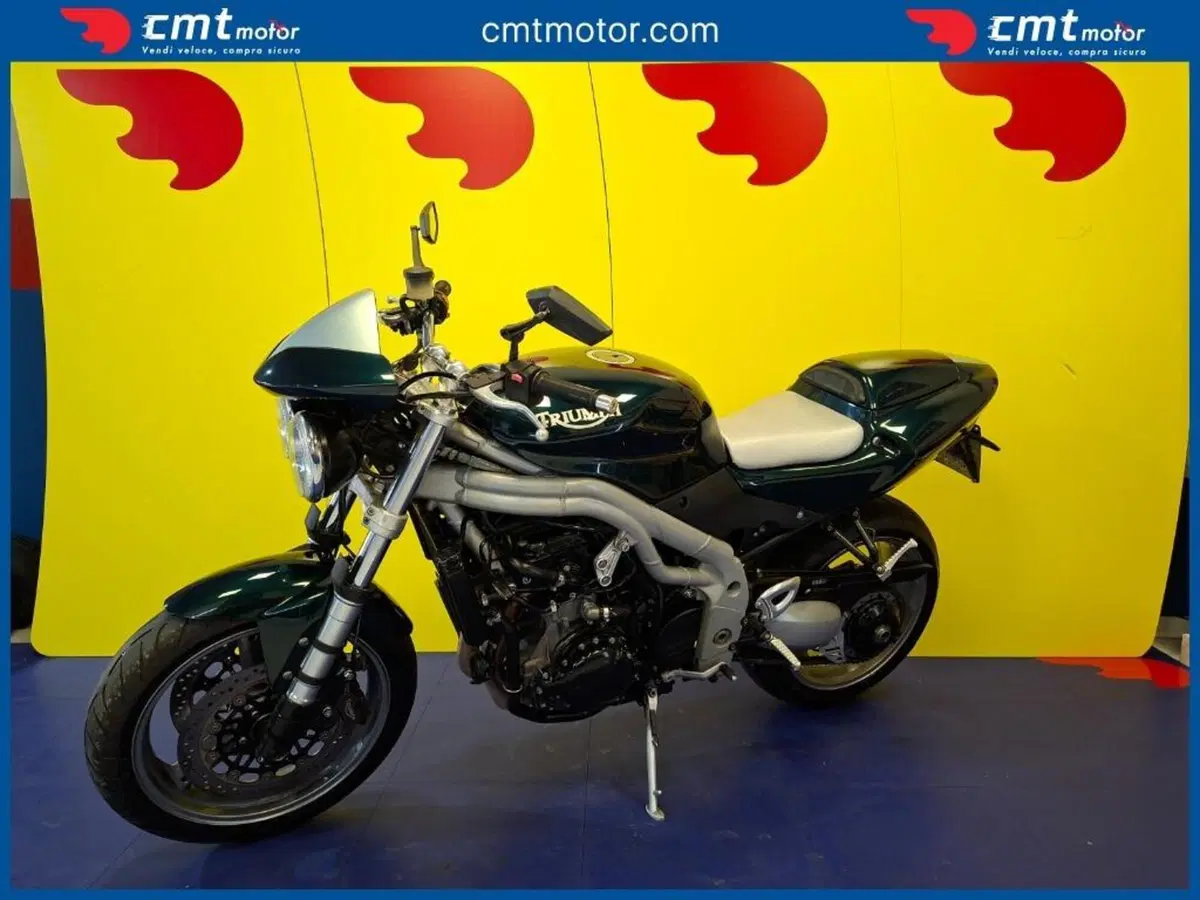 Triumph Speed Triple 955 (2002 - 04) (9)
