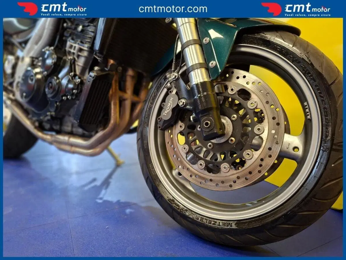 Triumph Speed Triple 955 (2002 - 04) (12)