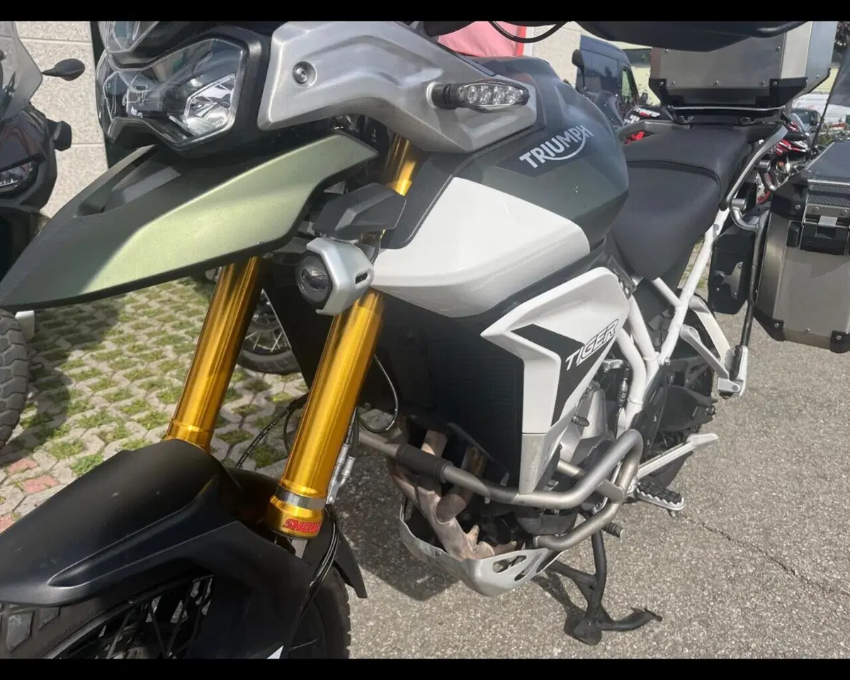 Triumph Tiger 900 Rally Pro (2020 - 23) (9)