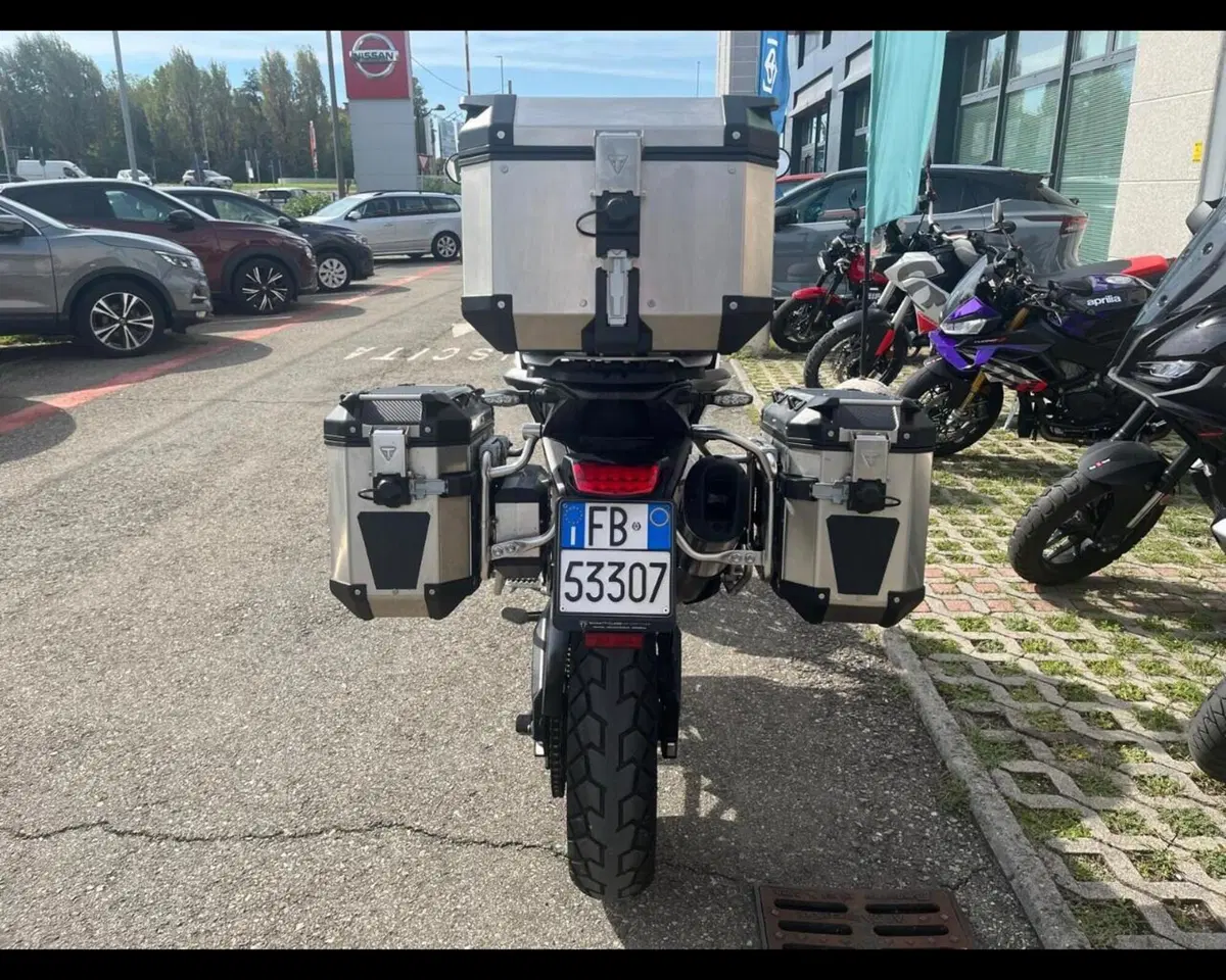Triumph Tiger 900 Rally Pro (2020 - 23) (6)